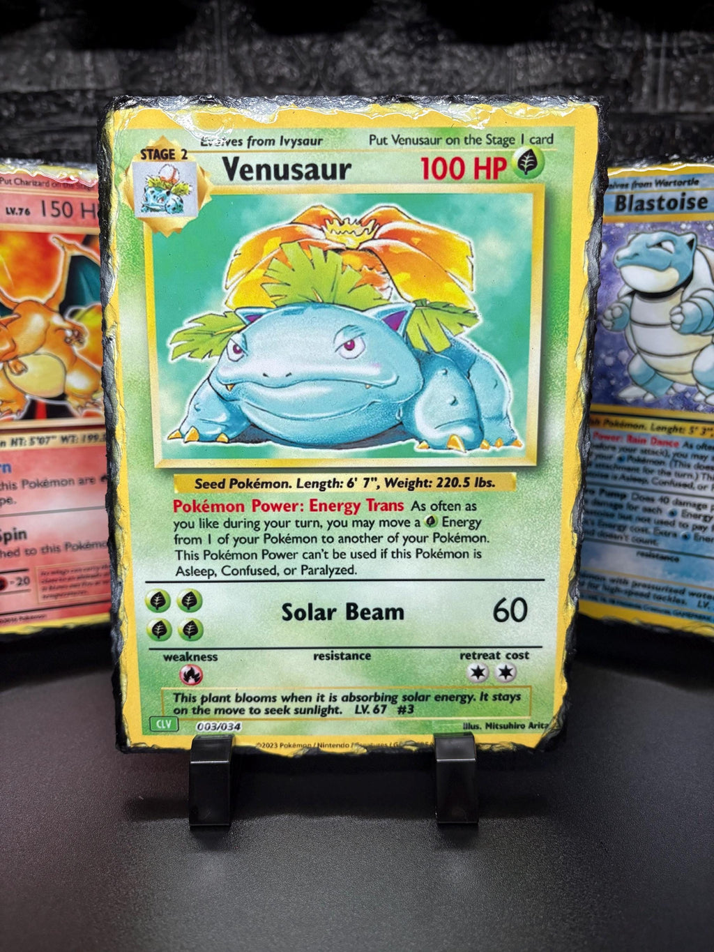 Stone Slate Trading Card Display - Venusaur