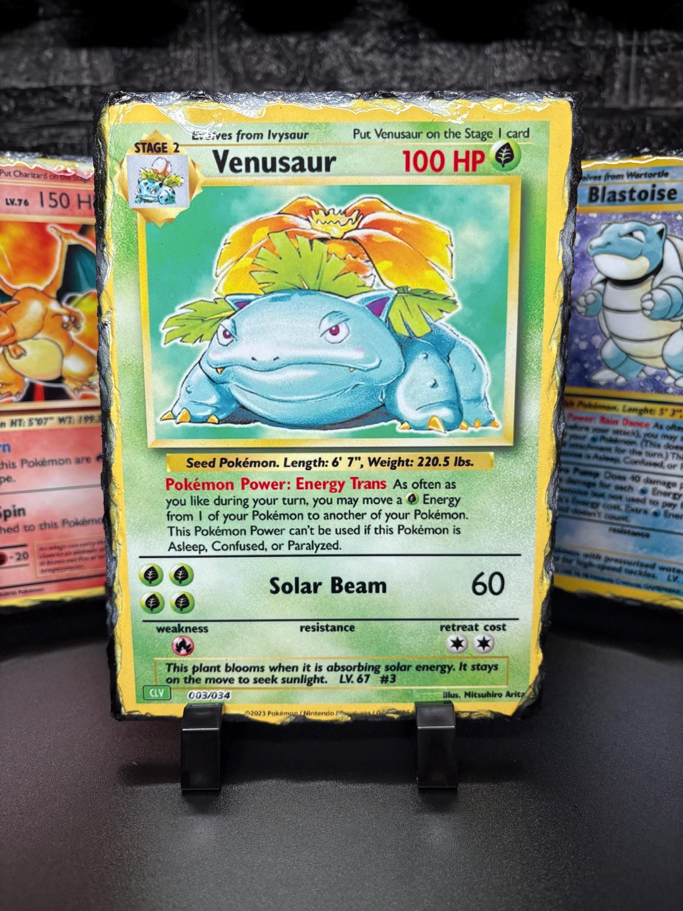 Stone Slate Trading Card Display - Venusaur